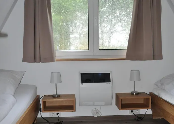 Meinhaus-damp * Damp